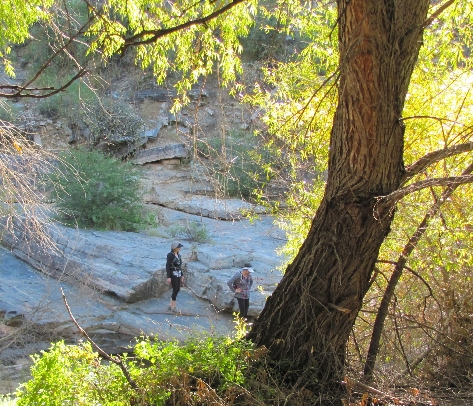 Sabino Canyon Recreation Area, Tucson